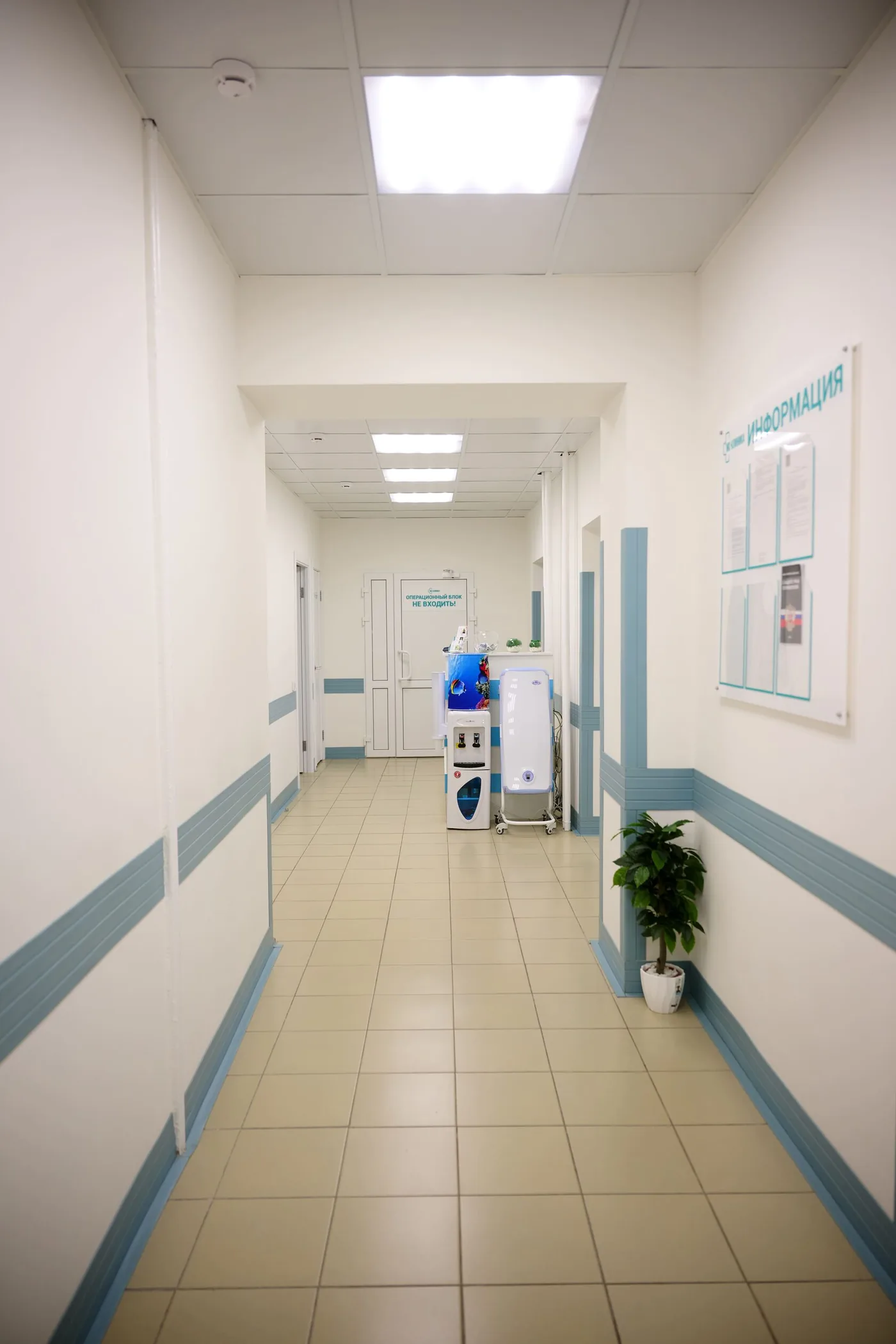Приём и обследование в МС-Клинике
